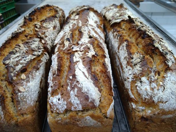 Pain au levain Fécamp