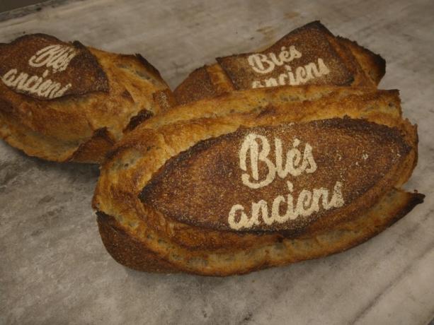 pain aux blés anciens